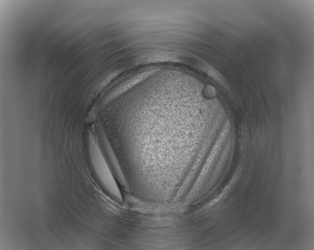 X0000066930777200604141957