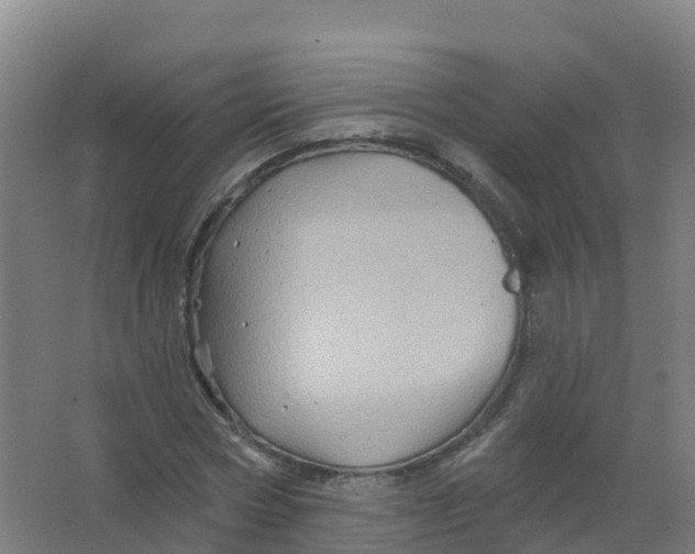 X0000066930778200604141957