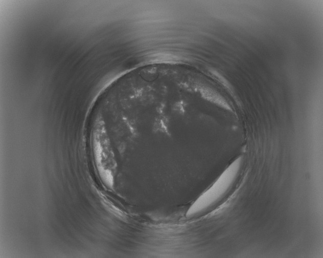 X0000066930779200604141957