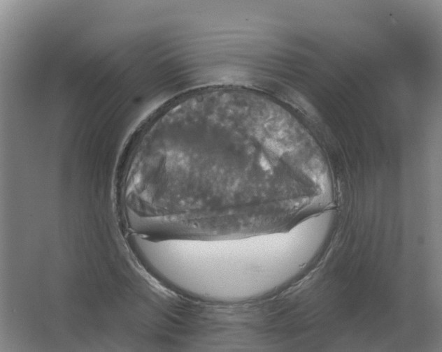 X0000066930780200604141957