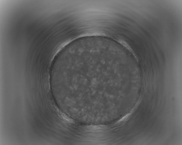 X0000066930781200604141957