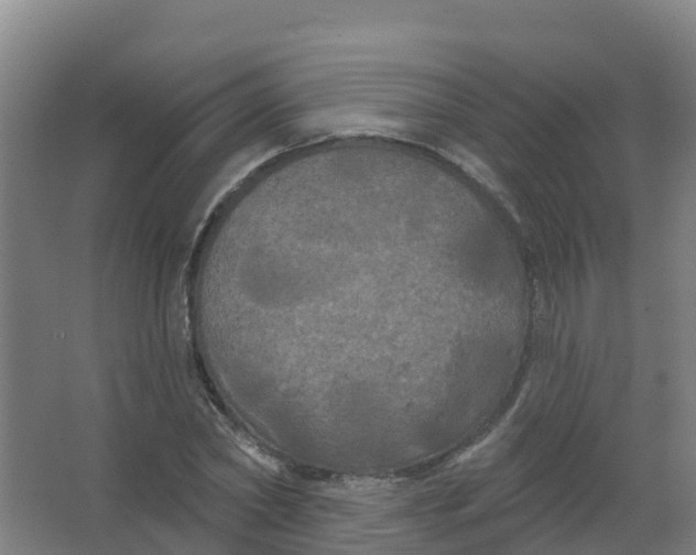 X0000066930782200604141957