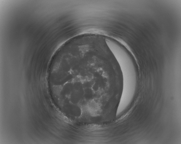 X0000066930783200604141957