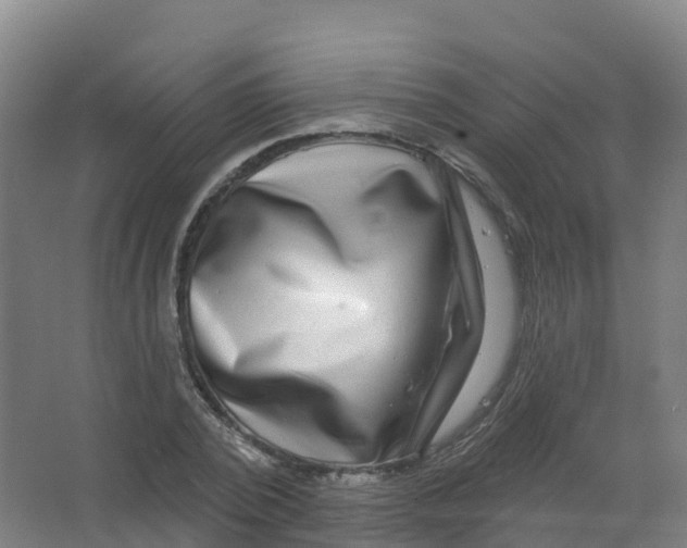 X0000066930784200604141956