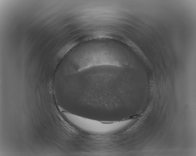 X0000066930785200604141956