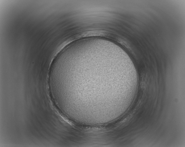 X0000066930786200604141956