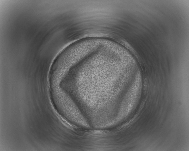 X0000066930787200604141956