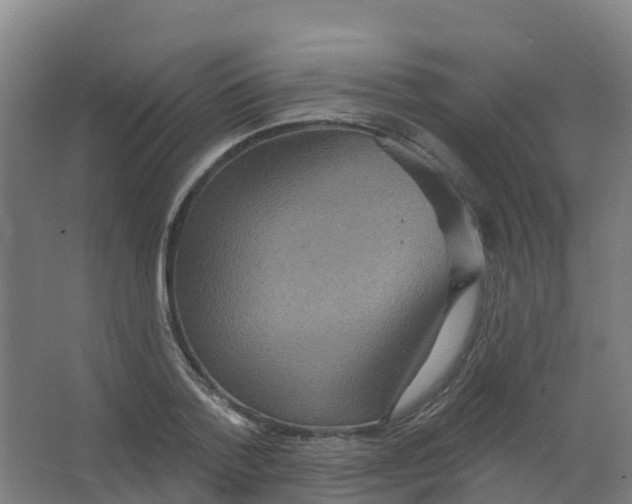 X0000066930788200604141956