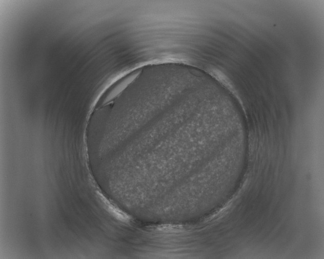 X0000066930789200604141956