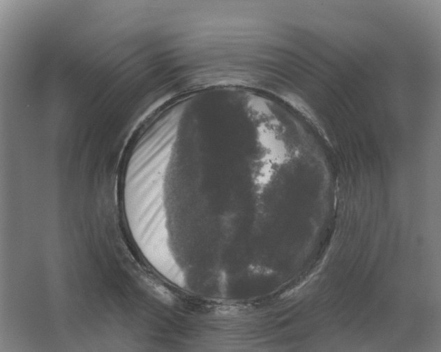 X0000066930790200604141956