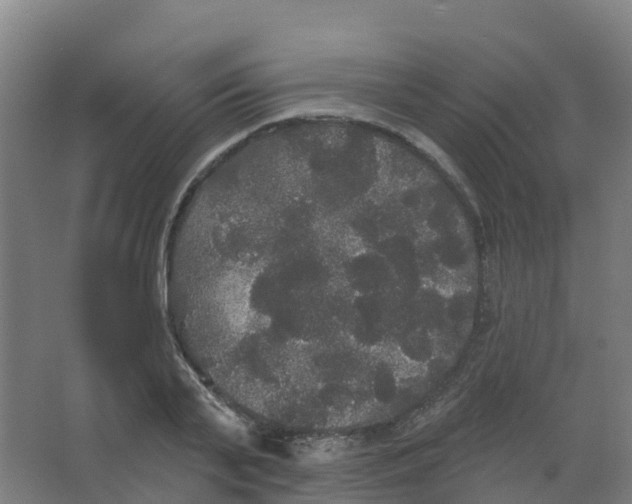 X0000066930791200604141956