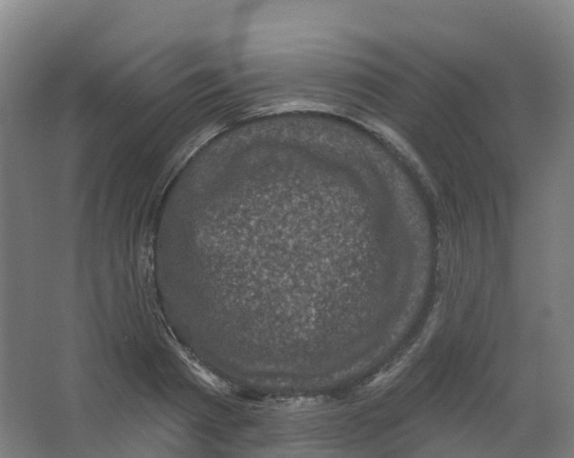 X0000066930793200604141956