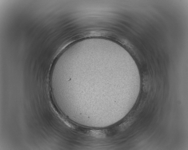 X0000066930794200604141956