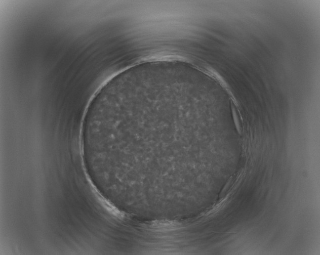 X0000066930795200604141956