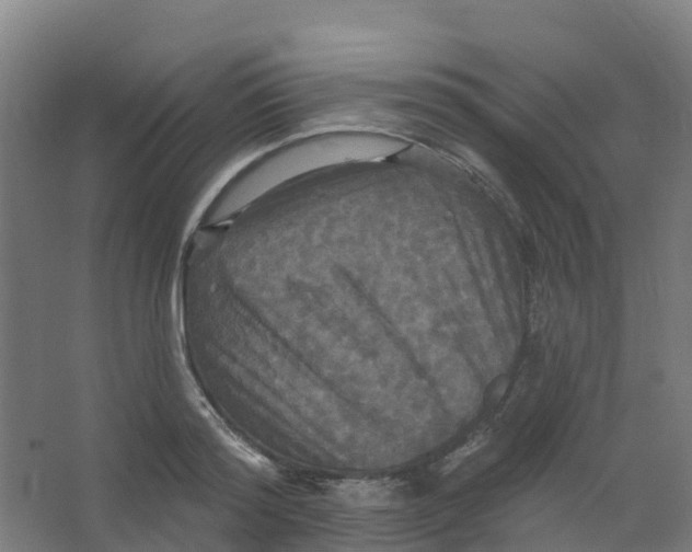 X0000066930796200604141956