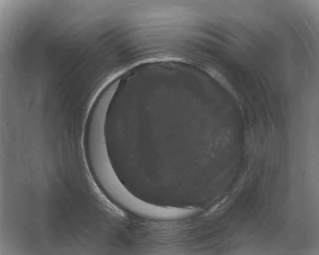 X0000066930797200604141956