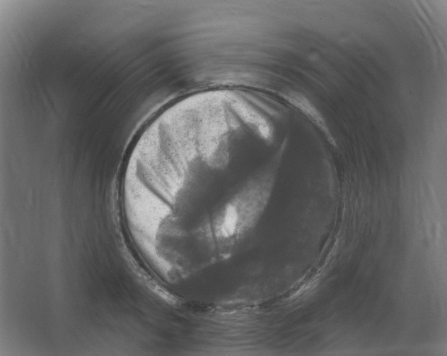 X0000066930798200604141956