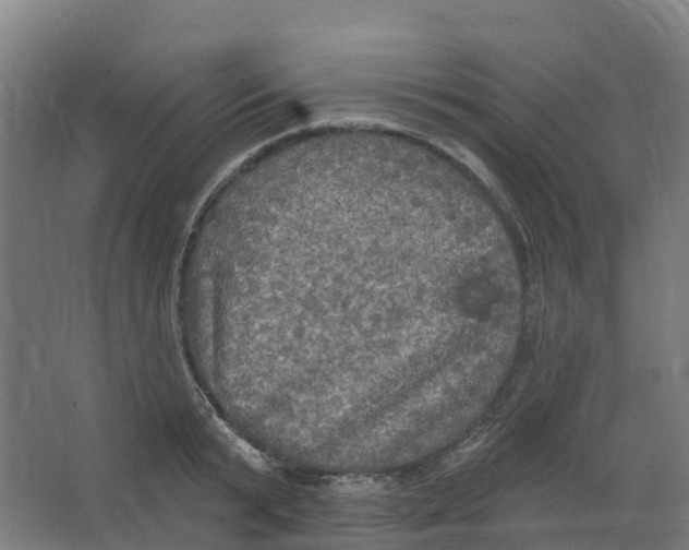 X0000066930799200604141956