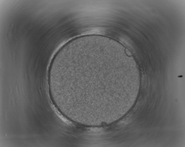 X0000066930800200604141956