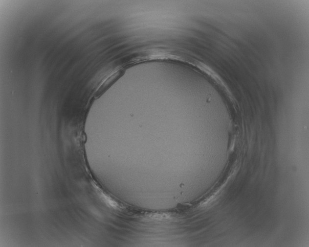 X0000066930801200604141956