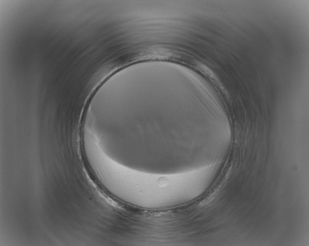 X0000066930802200604141956