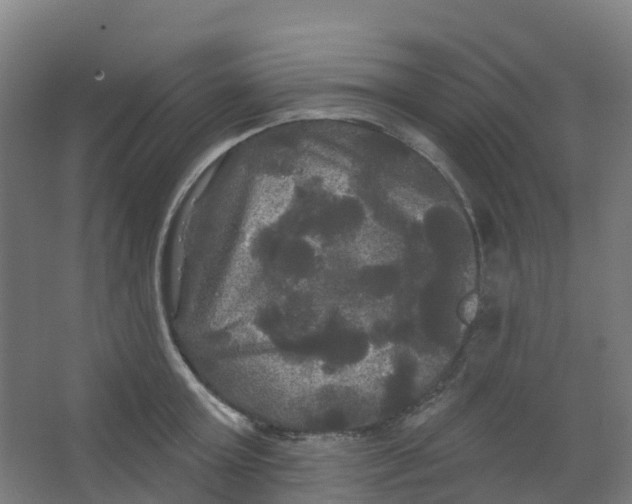 X0000066930803200604141956