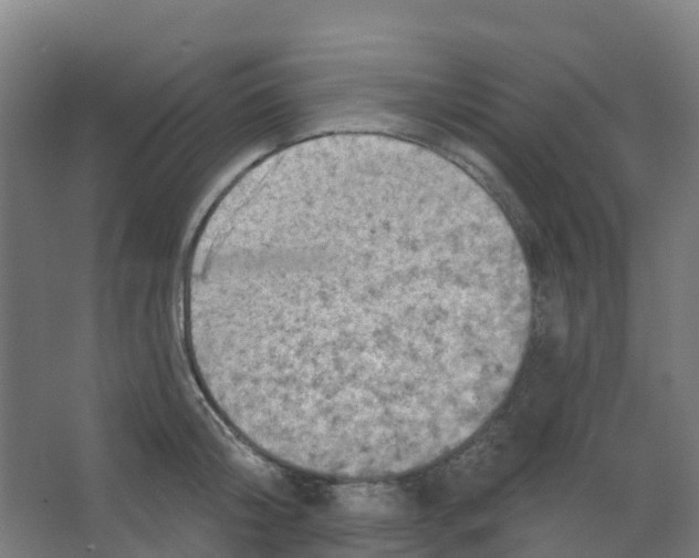 X0000066930804200604141956