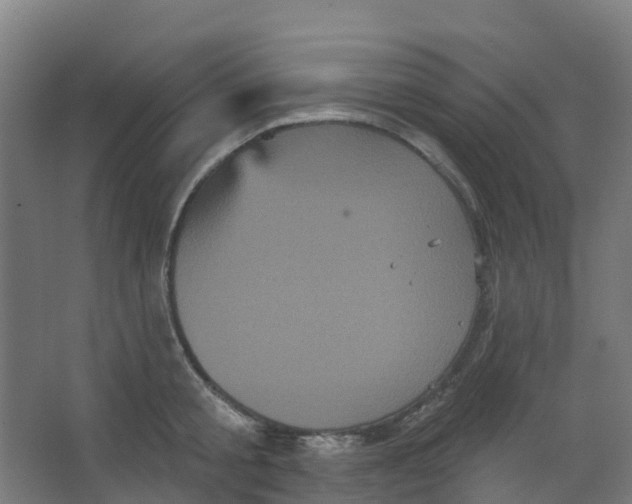 X0000066930805200604141956