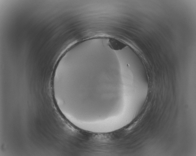 X0000066930806200604141956