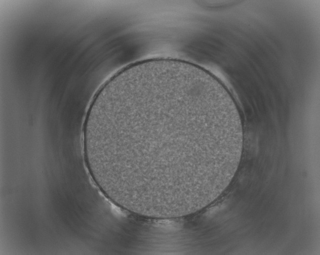 X0000066930807200604141956