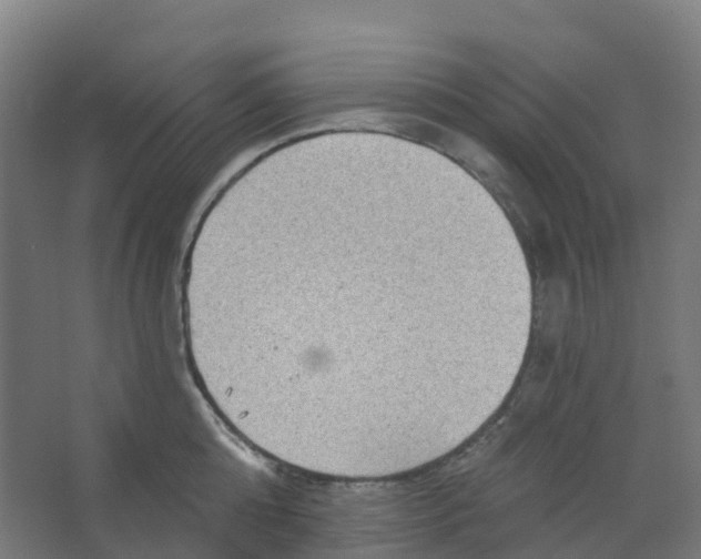 X0000066930808200604141956