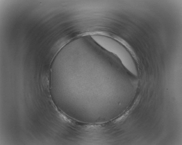 X0000066930809200604141956