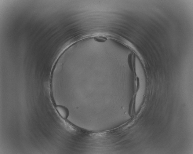 X0000066930810200604141956