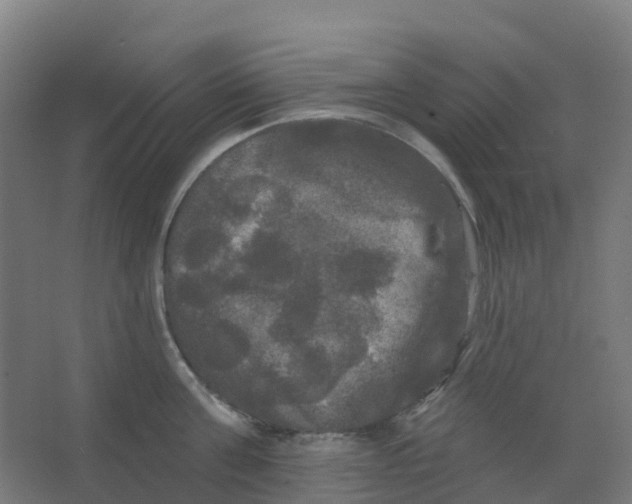 X0000066930811200604141956