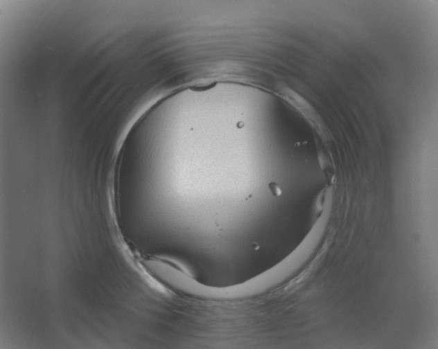 X0000066930812200604141956