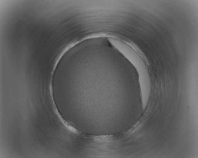 X0000066930813200604141956