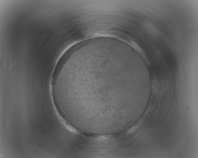 X0000066930814200604141956