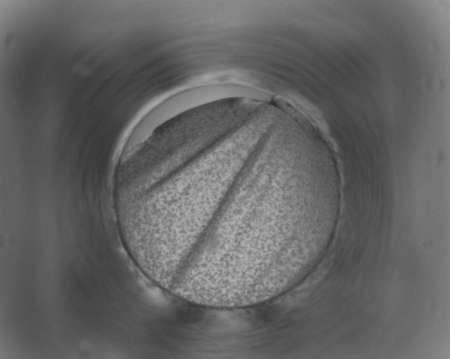 X0000066930816200604141956