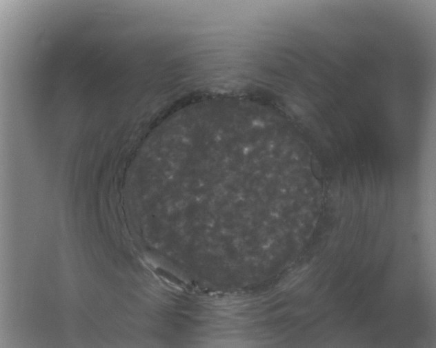 X0000066930817200604141955