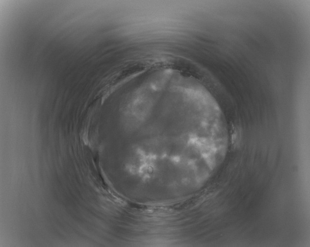 X0000066930819200604141955