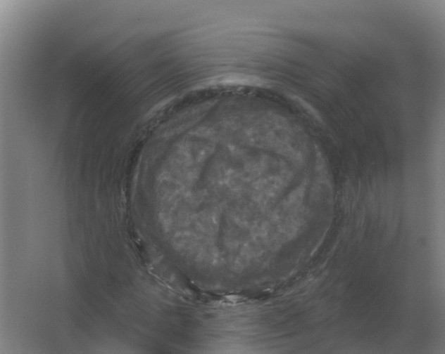 X0000066930821200604141955