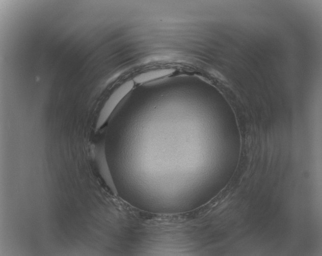 X0000066930822200604141955