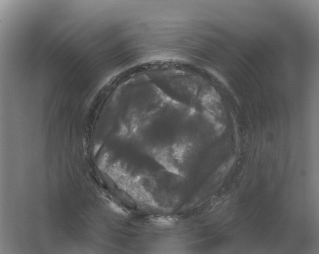 X0000066930823200604141955