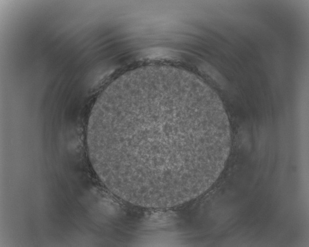 X0000066930824200604141955