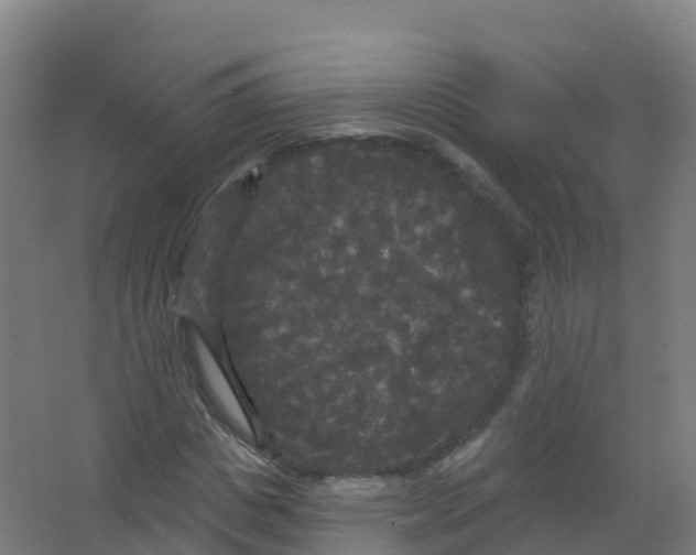 X0000066930825200604141955