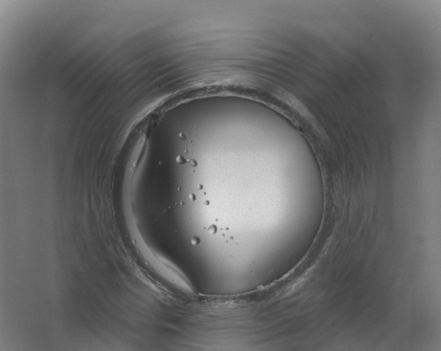 X0000066930826200604141955