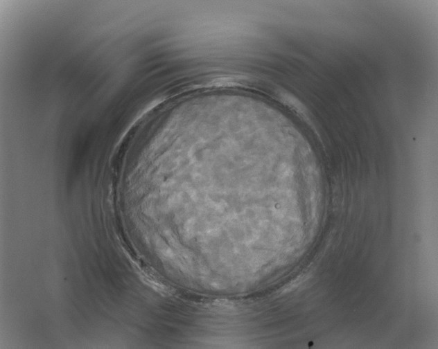 X0000066930827200604141955