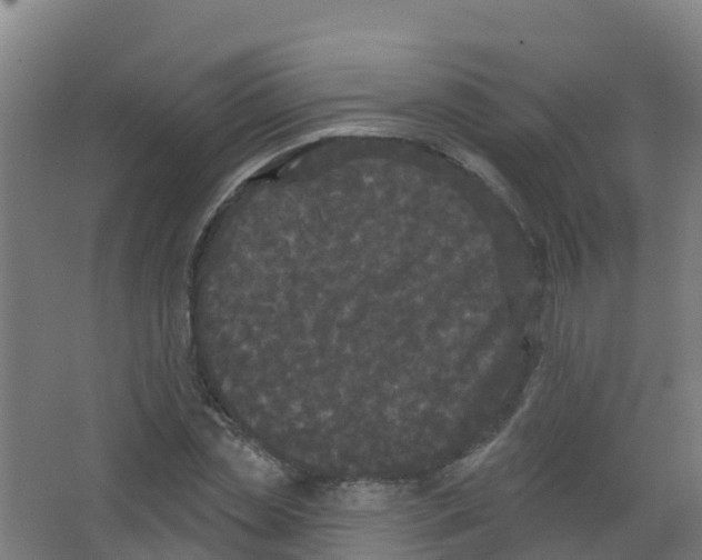 X0000066930829200604141955