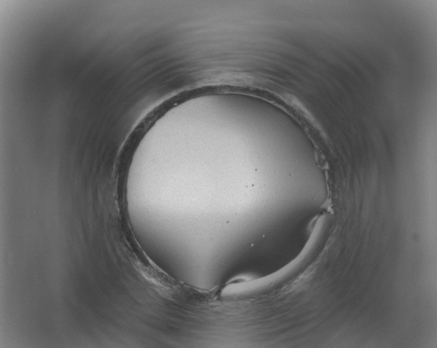 X0000066930830200604141955