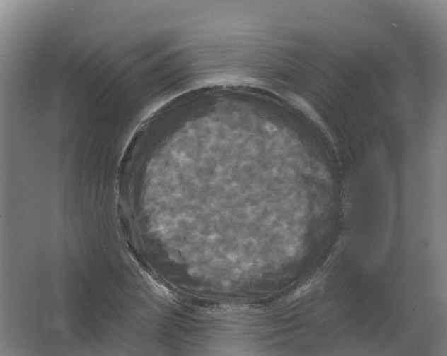 X0000066930831200604141955